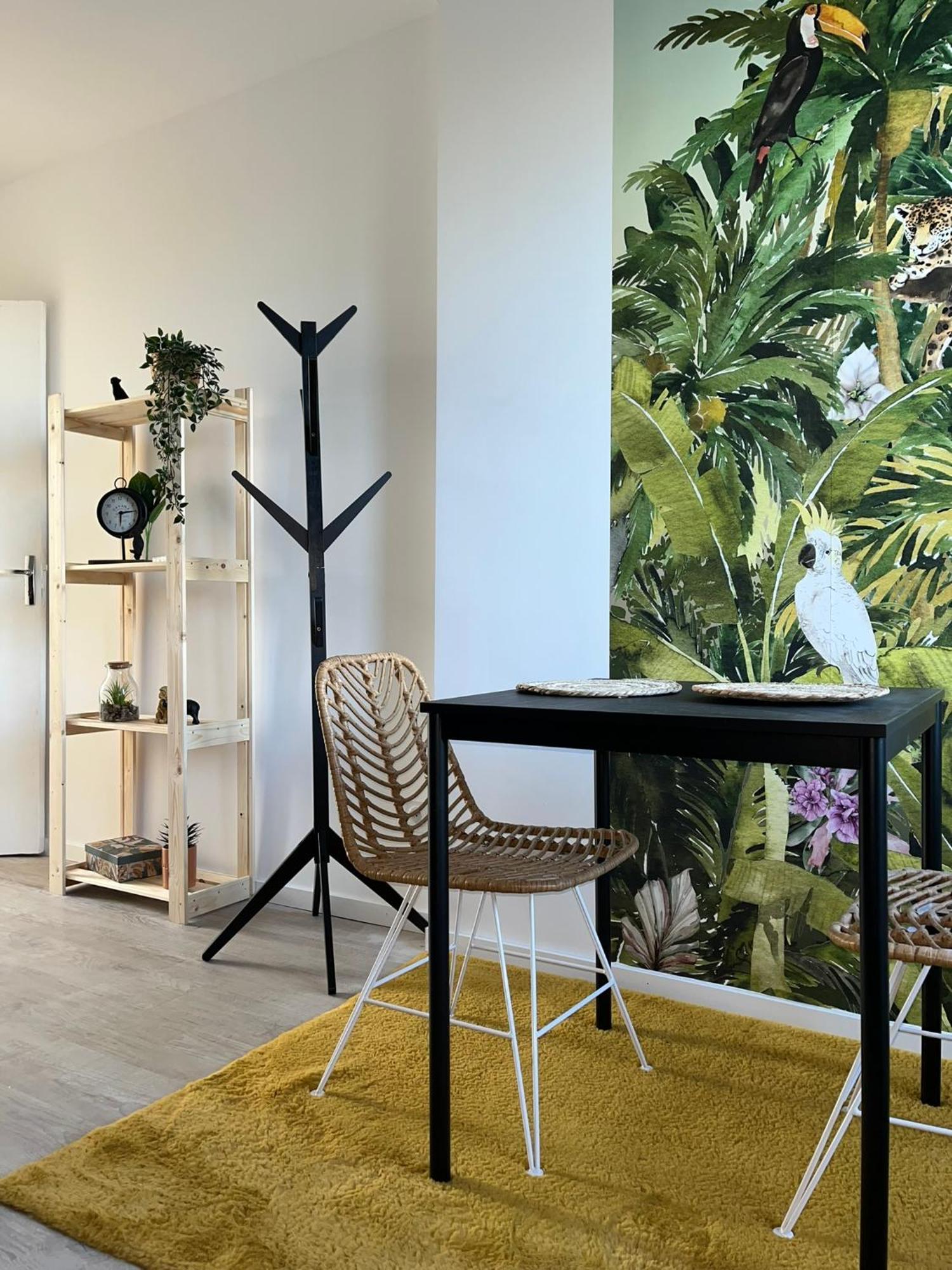 Studio Tropical , Vierzon , Proche Gare , Tout Confort Exterior photo